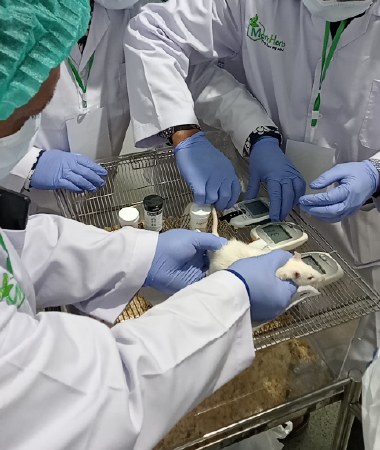 Lab 2