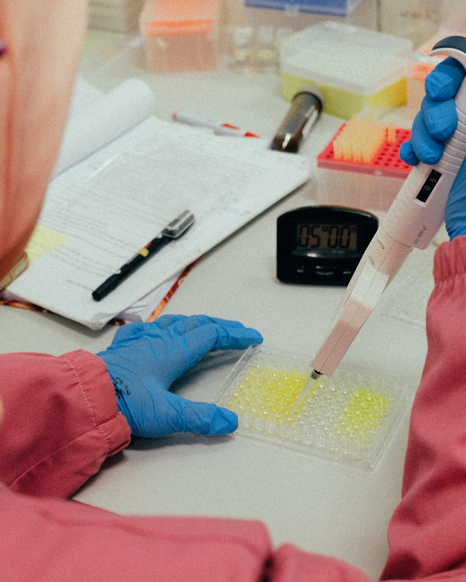 In Vitro Antioxidant & Free Radical Scavenging Assays (DPPH, ABTS, FRAP Methods)