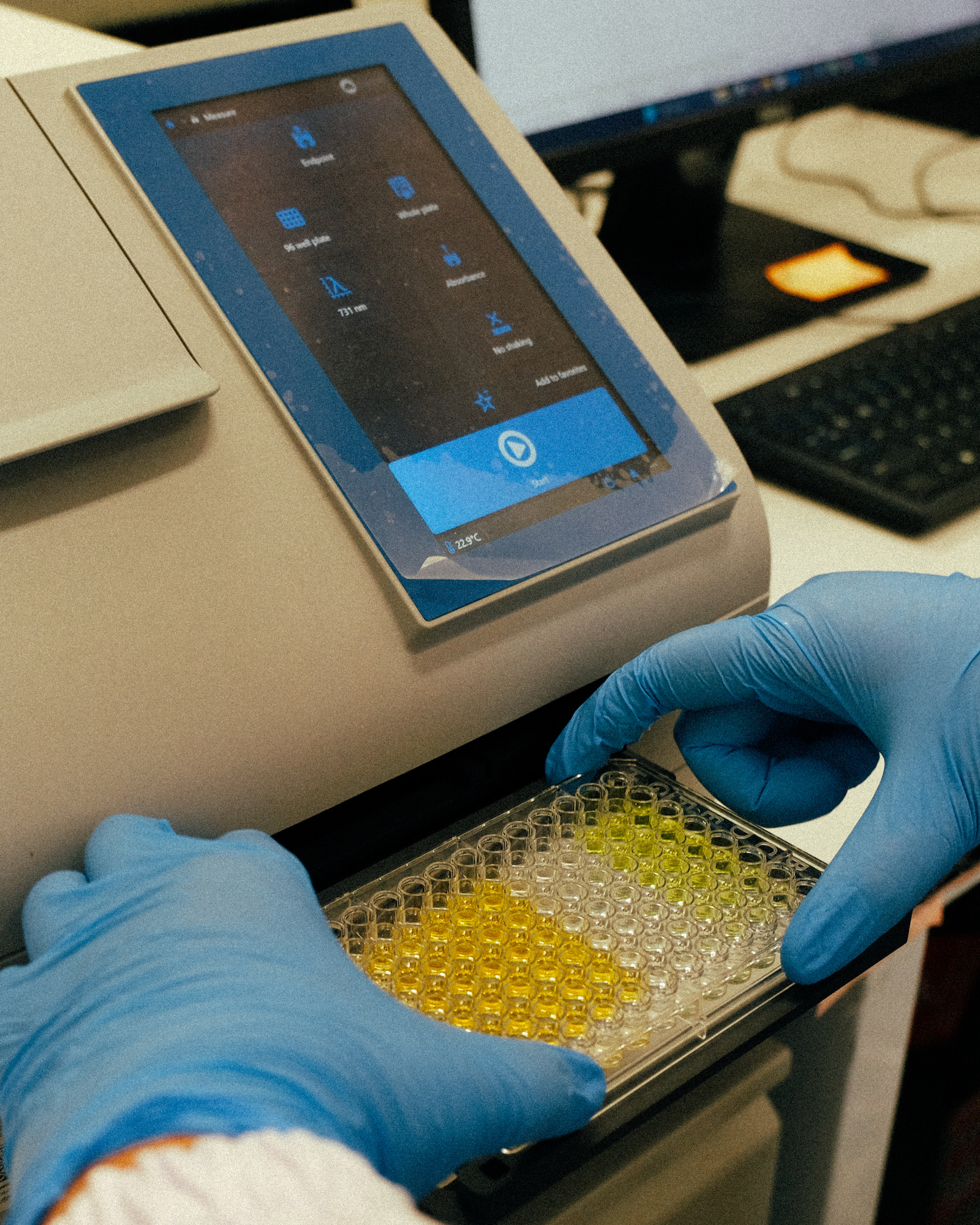 Targeted Enzyme Inhibition Assays (Alpha-Glucosidase, Tyrosinase, Collagenase)