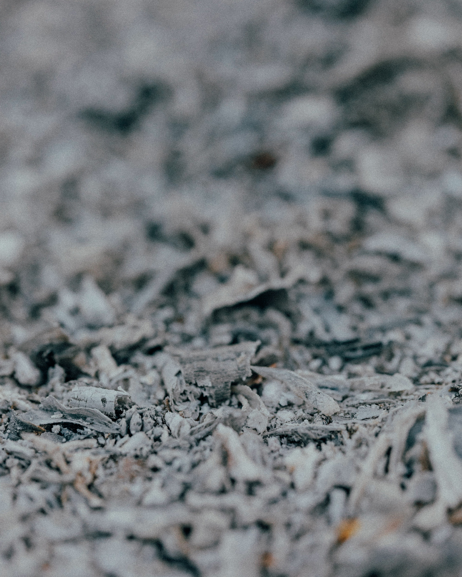 Total Ash & Acid-Insoluble Ash Content
